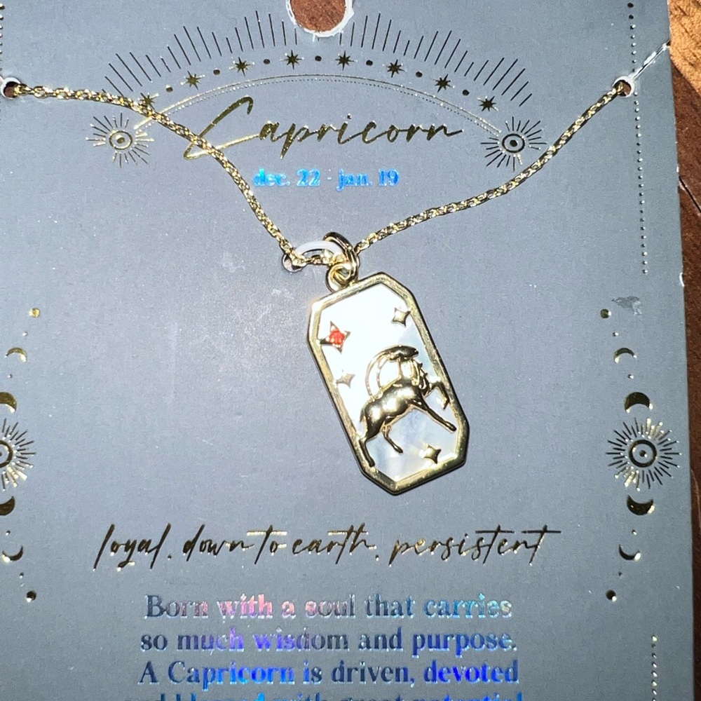 Capricorn Zodiac Pendant and Necklace 14k Plated Fine Jewelry NWT